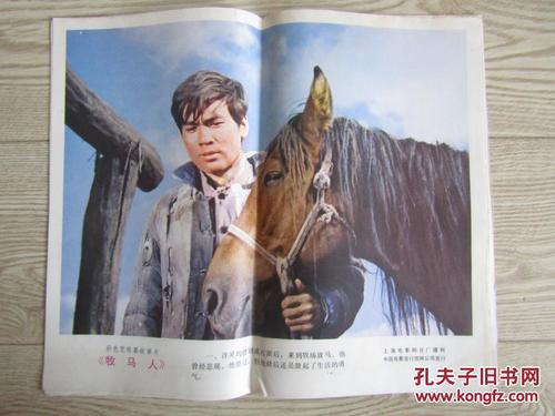 学历学籍证书编号怎么查